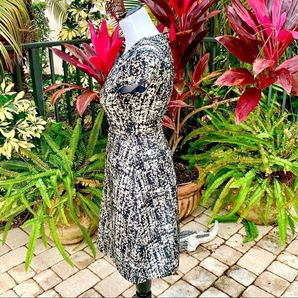 🍍3/$15🍍Brooklyn Industries Fit & Flare Dress - Picture 3 of 7